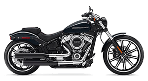 Image of a Harley-Davidson Cruiser Motorcycle